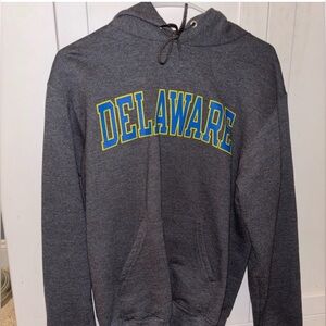 Champion University of Delaware Gray Hoodie – Small